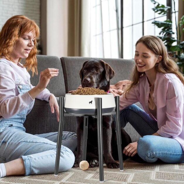 elevated Dog Bowl Stand
