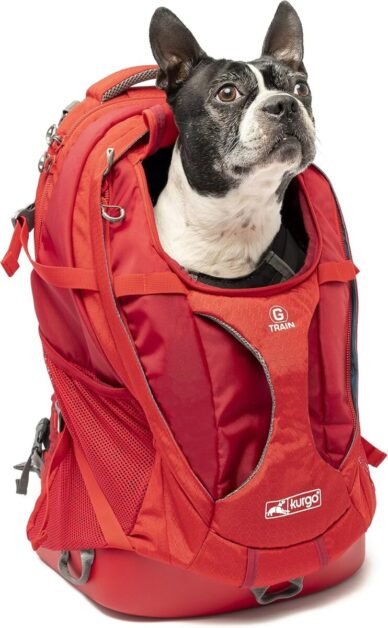 Dog Backpacks