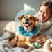 dog cone comfort and healing