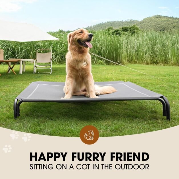 Dog Cot