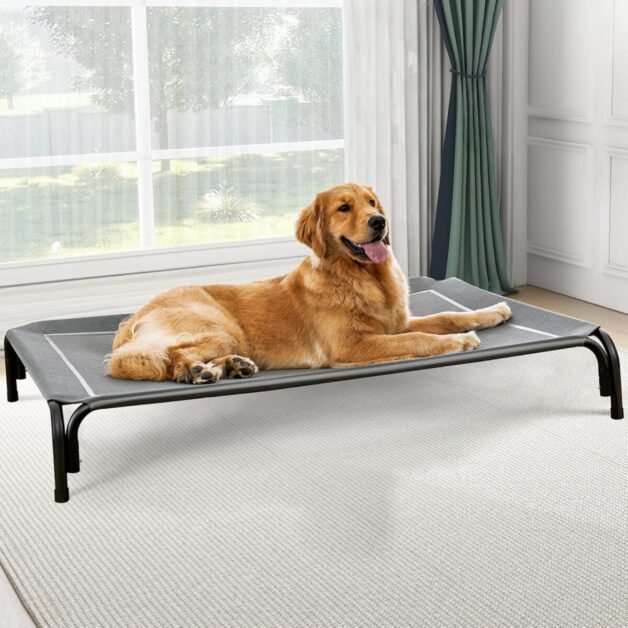 Dog Cot