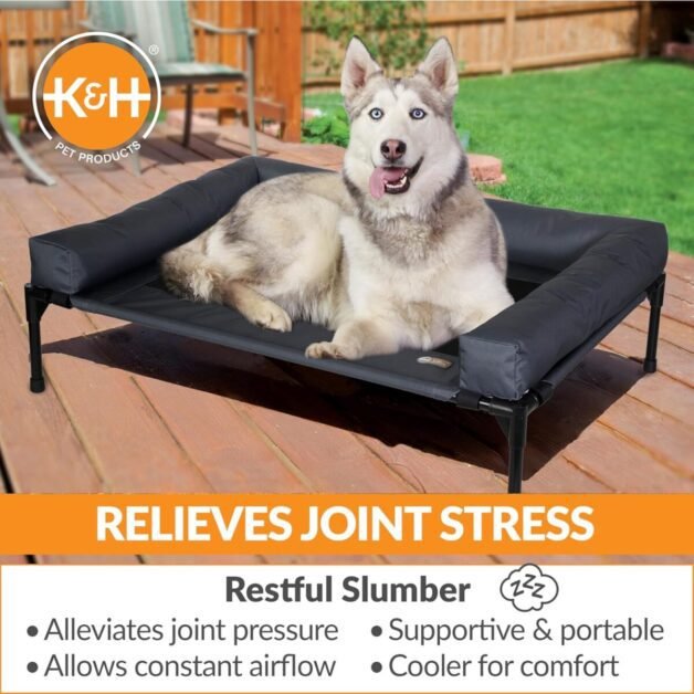 Dog Cot