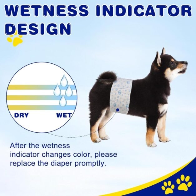 Belly Bands for Male Dogs