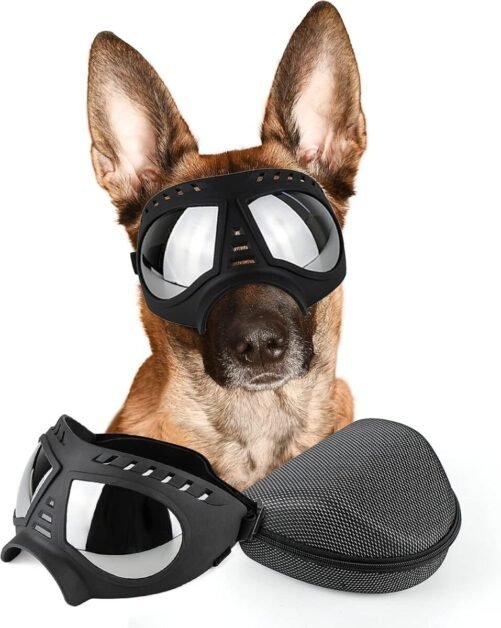 Dog Goggles