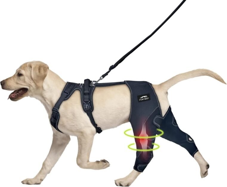 Dog Leg Braces