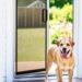 dog screen door