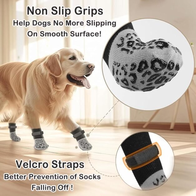 Benefits of Using Dog Socks