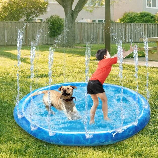 Dog Splash Pad