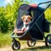 dog stroller for outdoor adventures