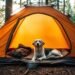 dog tent for camping adventures