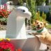 dog water fountain