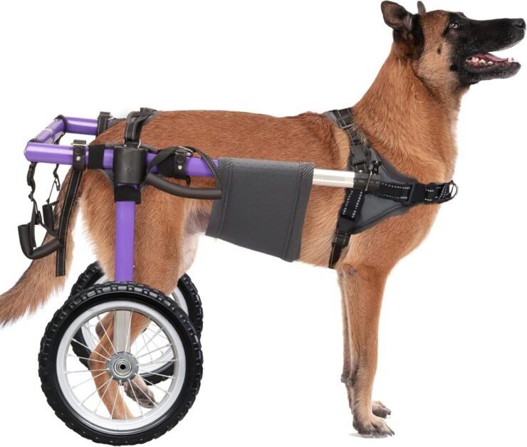 Dog Wheelchair