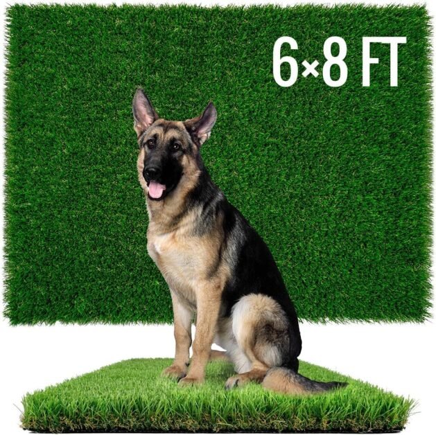 Fake Grass for Dogs