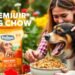 premium dog chow nutrition