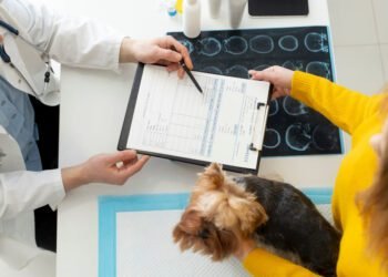 Anxiety and Compulsive Disorders in Dogs