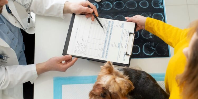 Anxiety and Compulsive Disorders in Dogs