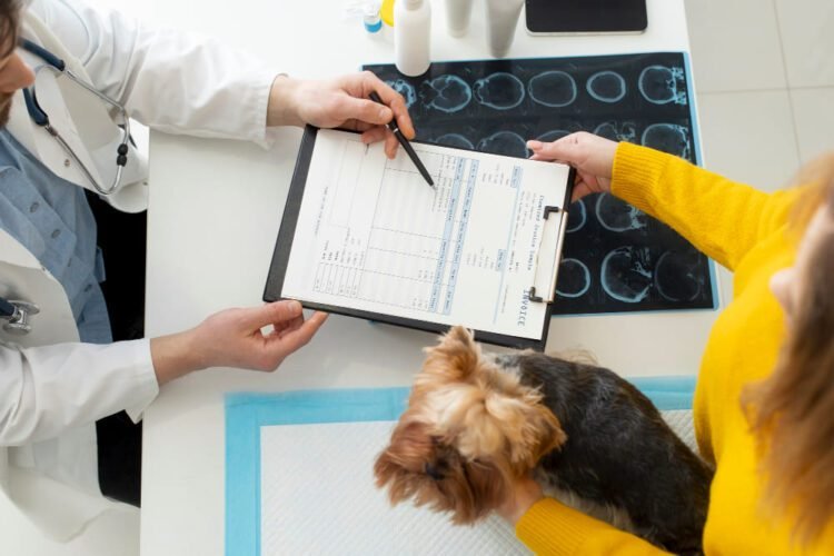 Anxiety and Compulsive Disorders in Dogs