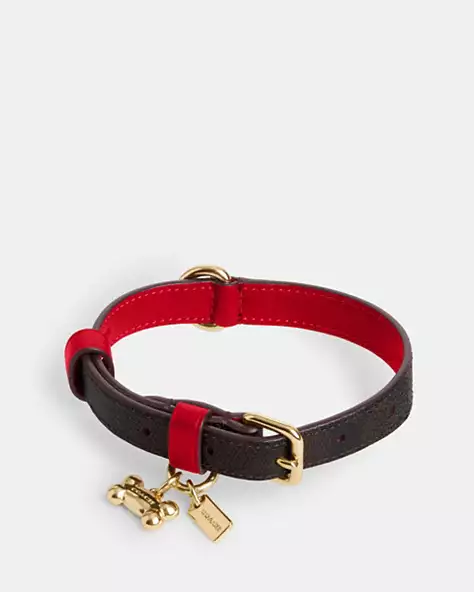 coach dog collar