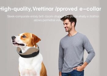 e collar for dogs