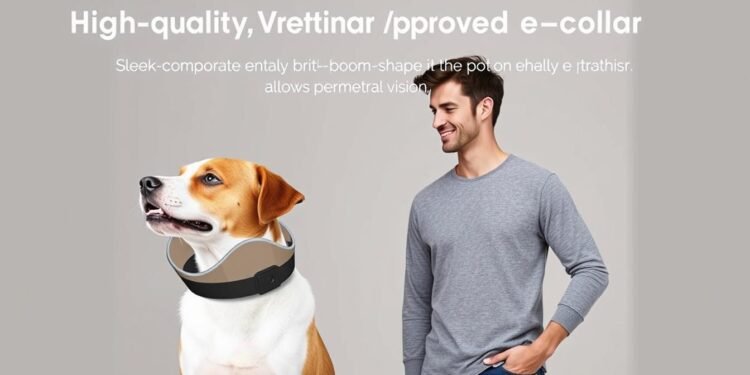e collar for dogs