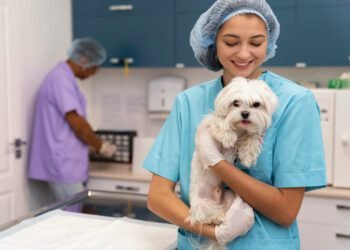 Hydrogen Peroxide Dosage calculator for Dogs