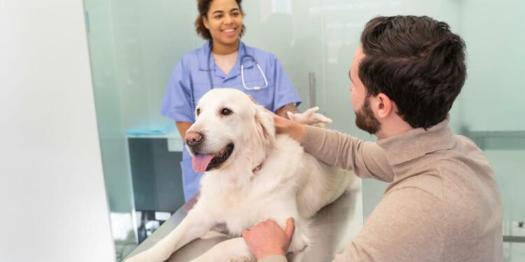 Codeine Dosage Calculator For Dogs