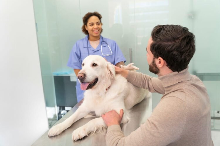 Codeine Dosage Calculator For Dogs