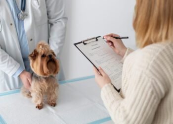 Nexium (esomeprazole) dosage calculator for dogs