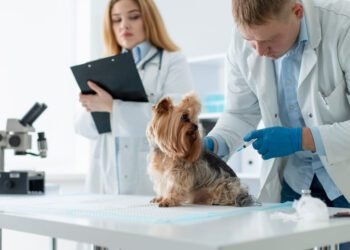 Pepto Bismol Dosage calculator for Dogs