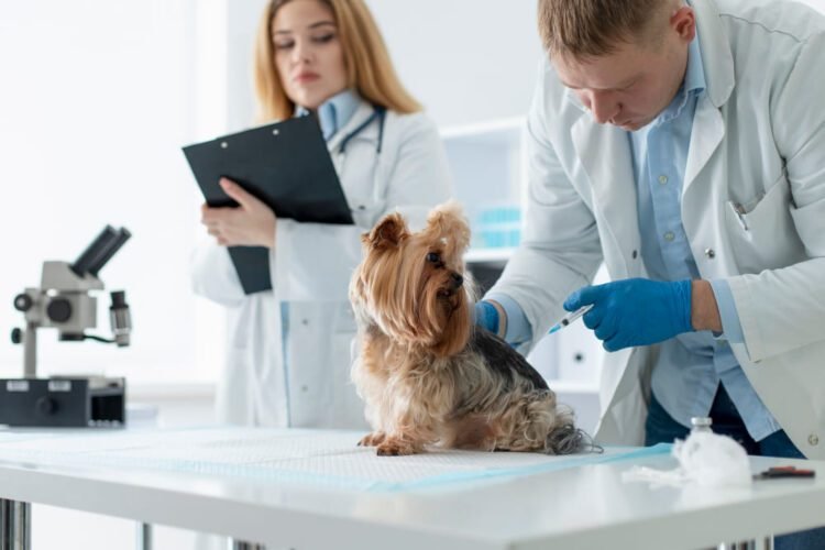 Pepto Bismol Dosage calculator for Dogs