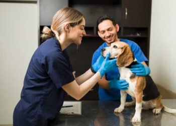 Dextromethorphan dosage calculator for dogs