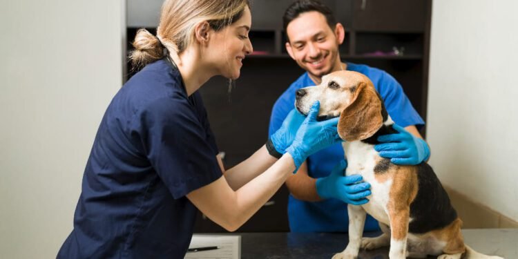 Dextromethorphan dosage calculator for dogs