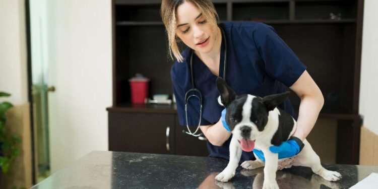 Dog metoclopramide dosage calculator