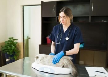 Deramaxx (deracoxib) dosage calculator for dogs