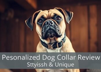 Personalized Dog Collar