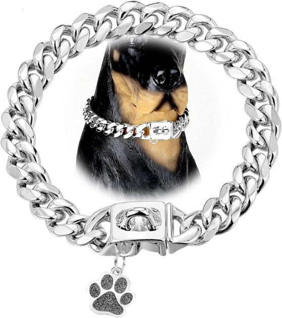 dog chain collars