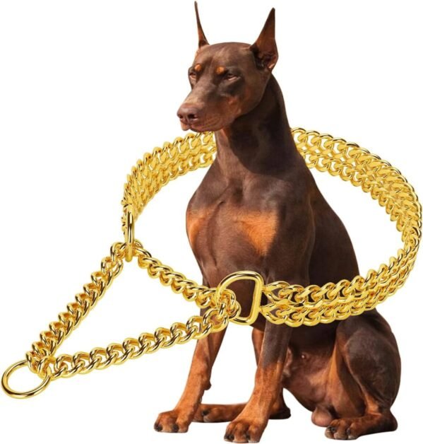 dog chain collars