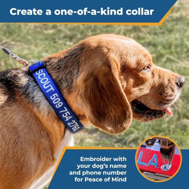 Personalized Dog Collars