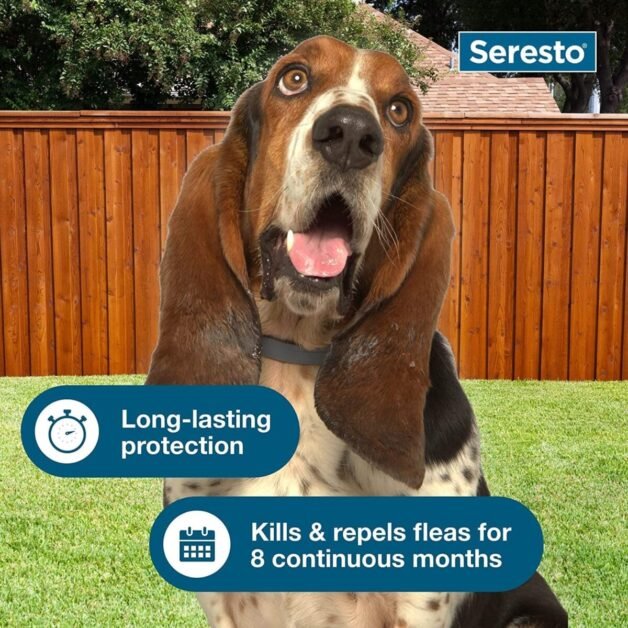 Seresto Flea Collar for dogs