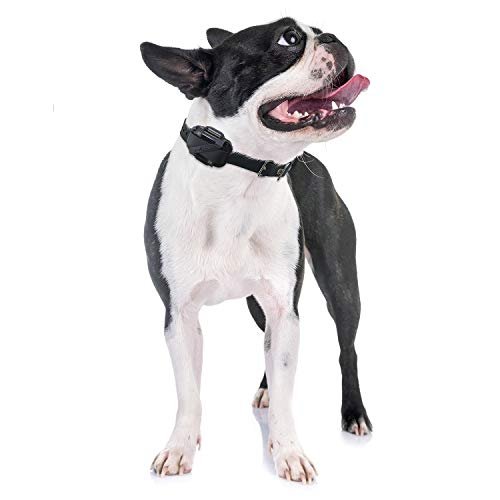 Educator Additional Receiver and Collar Compatible with all Educator Training Systems, Black