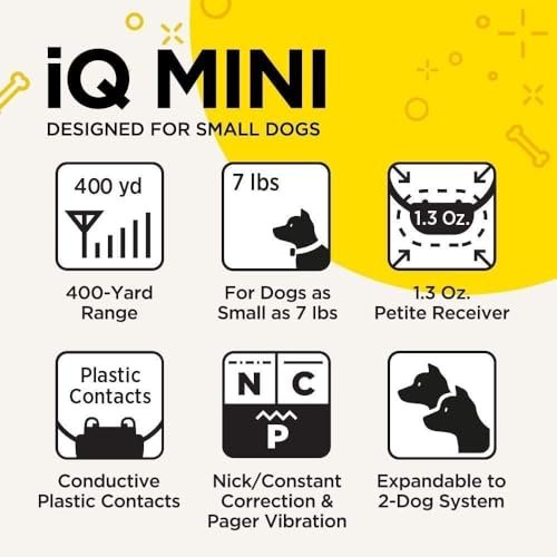 Dogtra iQ Mini Rechargeable Waterproof Mini Dog Training E-Collar with Water-Resistant Remote