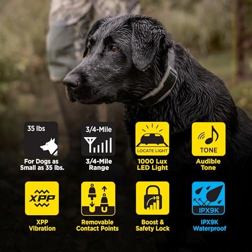 Dogtra 1900X E-Collar for Dog Training - 3/4 Mile Range, for Dogs 45 lbs+, IPX9K Waterproof, 100 Stimulation Levels, Vibration, Tone, Rechargeable - Ideal for Dog Owners and Professional Trainers