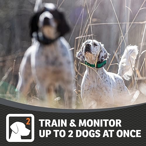 SportDOG Brand FieldSentinel 825 Remote Trainer with Bodyguard Health Alerts – World’s First Dog E-Collar with Health Monitoring – Train with Static, Vibrate, and Tone – ½ Mile Range