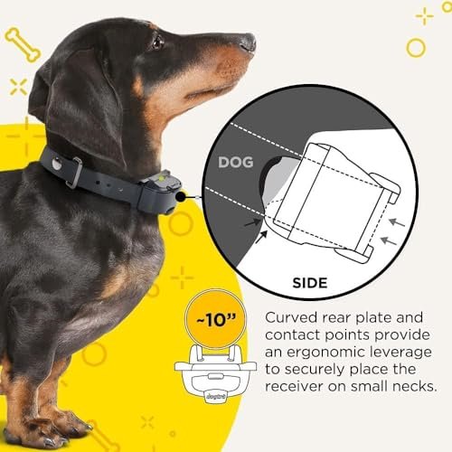Dogtra iQ Mini Rechargeable Waterproof Mini Dog Training E-Collar with Water-Resistant Remote