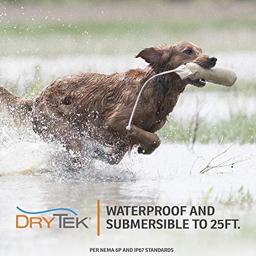 SportDOG Brand FieldTrainer 425XS Remote Training Dog Collar, E Collar For Stubborn Dogs - Waterproof, Submersible Up To 25 Feet, Rechargeable Dog Training Device with Remote Static, Vibrate, and Tone