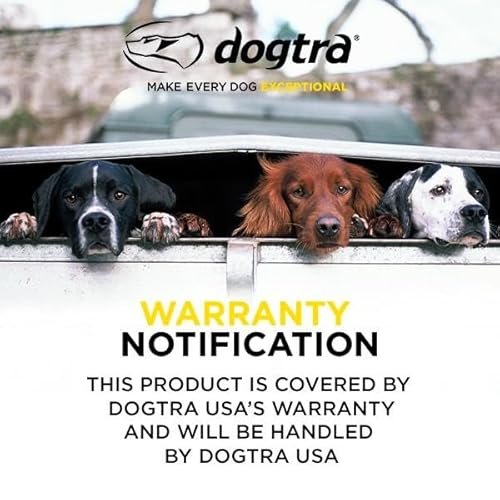 Dogtra iQ Mini Rechargeable Waterproof Mini Dog Training E-Collar with Water-Resistant Remote