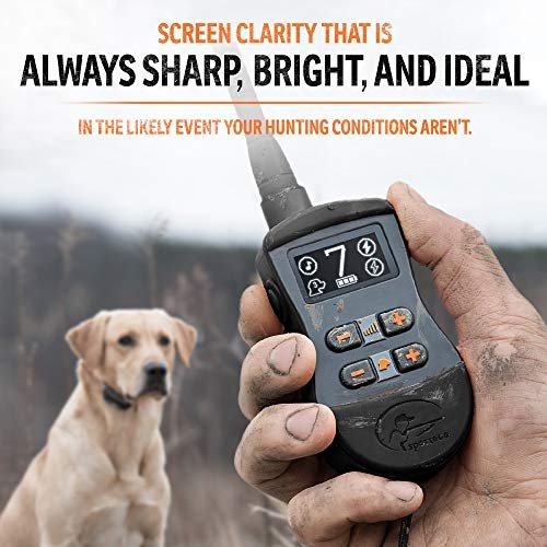 SportDOG Brand SportTrainer 875 Remote Trainer - Static Collar - 1/2 Mile Range - OLED Screen - Waterproof, Rechargeable E-Collar with Remote - Tone, Vibration, and Static, Black