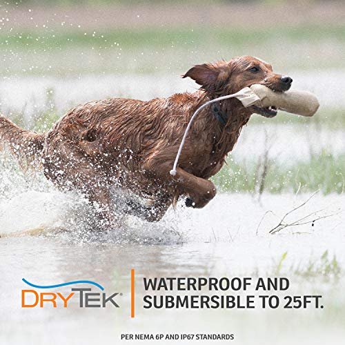 SportDOG Brand YardTrainer 300 Remote Trainer - SportDOG Static Collar With Remote, Waterproof, Submersible Up To 25 ft, Equipped with DryTek Technology, SportDOG Trainer with static, vibrate and tone