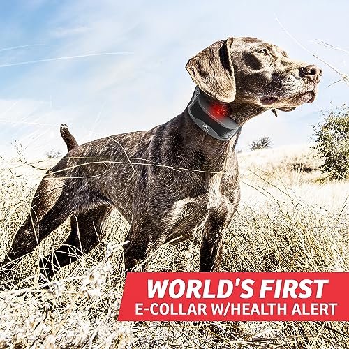 SportDOG Brand FieldSentinel 825 Remote Trainer with Bodyguard Health Alerts – World’s First Dog E-Collar with Health Monitoring – Train with Static, Vibrate, and Tone – ½ Mile Range