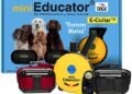Mini Educator ET-302 Review: Game-Changing E-Collar for All Dogs